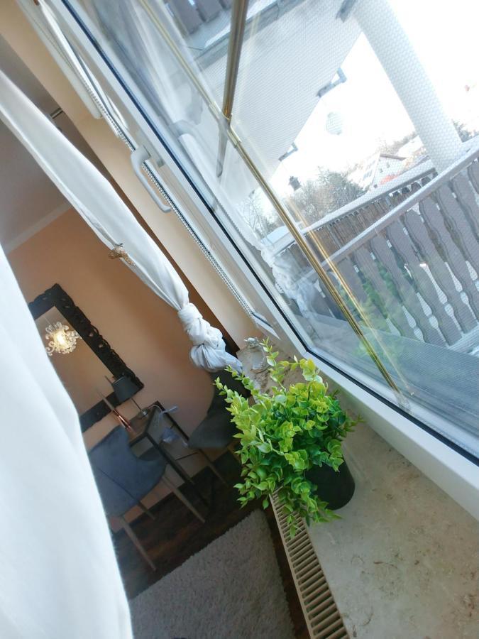 Wohlfuehlzeit Im Zittauer Gebirge Apartment Luaran gambar